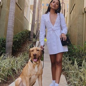 F21 Plunging Poplin Mini Dress